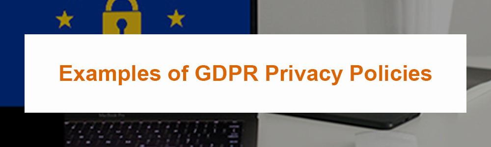 Examples of GDPR Privacy Policies