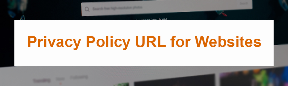 Privacy Policy URL for Websites