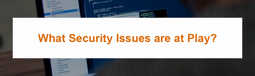What Security Issues are at Play?
